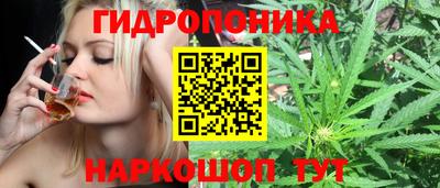 МДПВ Кингисепп