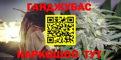 МДПВ Кингисепп