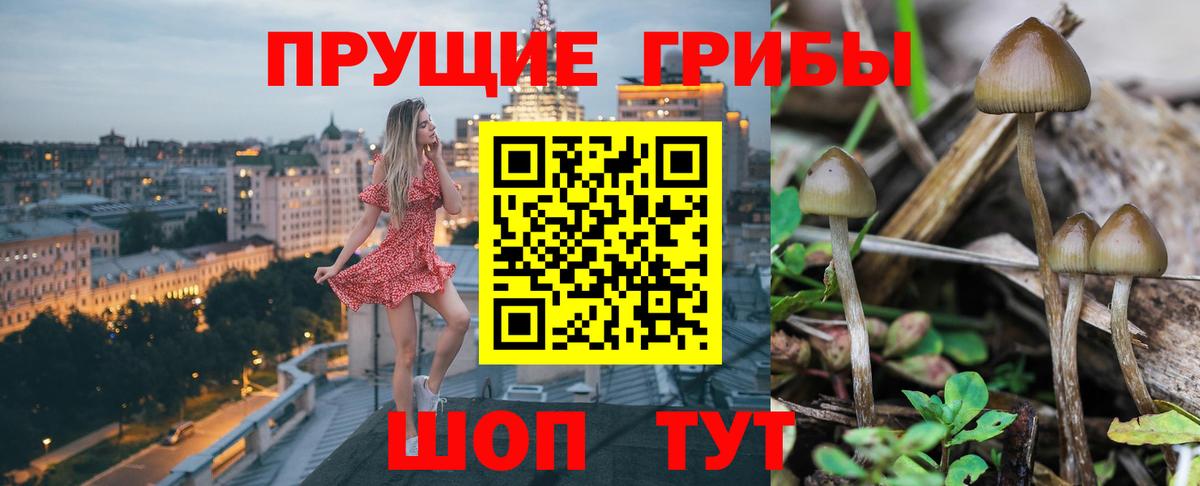 продажа наркотиков  Псилоцибиновые грибы мухоморы  Вход с VPN  Красноуфимск 